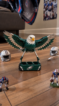 Philadelphia Eagles drone artwork